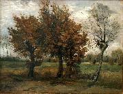 Vincent Van Gogh Autumn landscape with four trees Spain oil painting artist